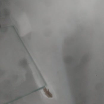 Bosch Marka Buzdolabı Mağduriyeti