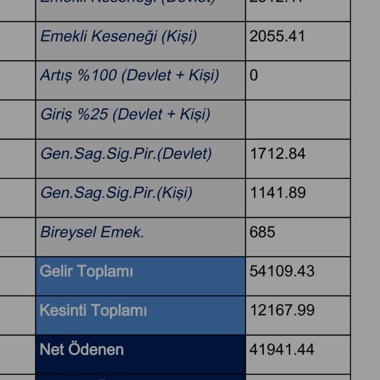 Türkiye Hayat Emeklilik BES İptal Ettiğim Halde Tekrar Kesinti Yapıldı.