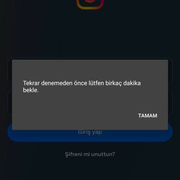 Instagram Hesabıma Giriş Yapamıyorum