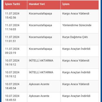 Sürat Kargo Kargonun Teslim Bilmecesi