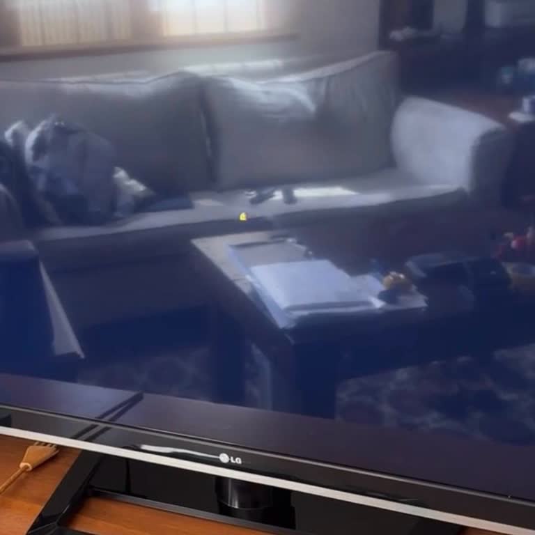 TOD Tv Tod Üyeliği İptal Etmek İstiyorum