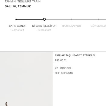 Zara Siparişimi Teslim Etmiyor