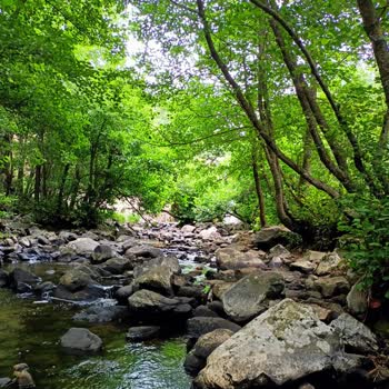 Ordu Büyükşehir Belediyesi Ordu Da Altın Madeni Arama