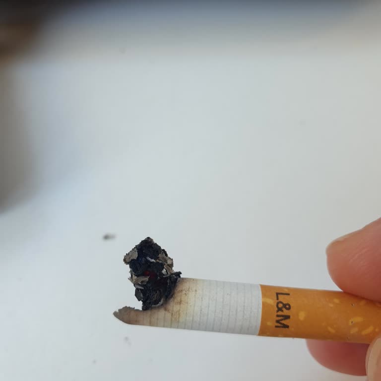 Philip Morris L&M Nin İçinden Çıkan Odunlar