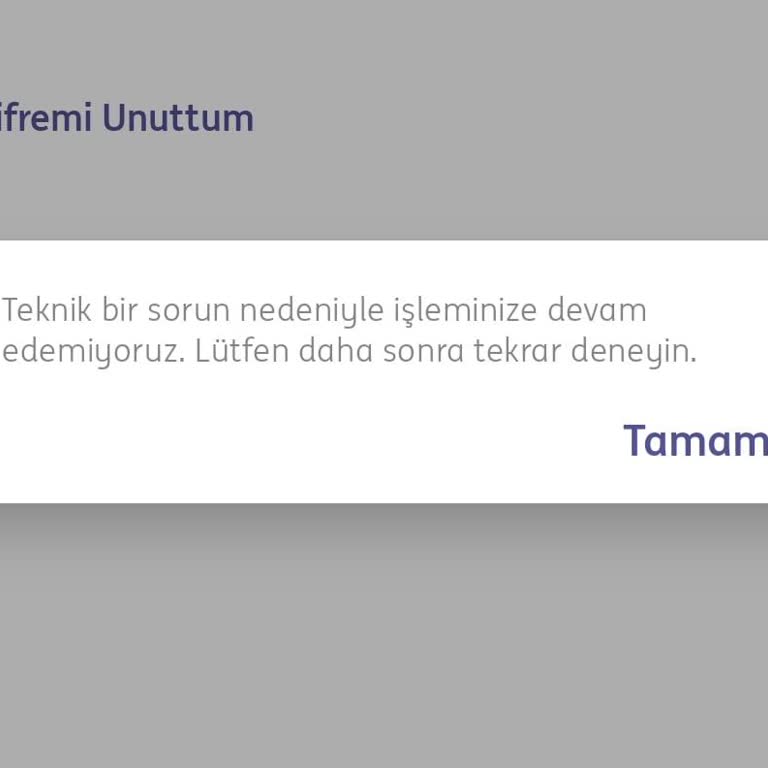 ING Mobil Bankacılığa Girememe