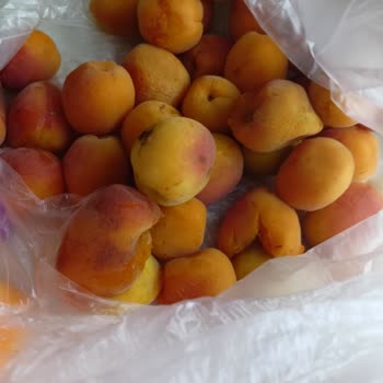 A101 Kapıda Çürük Sinekli Gelen Ürünler