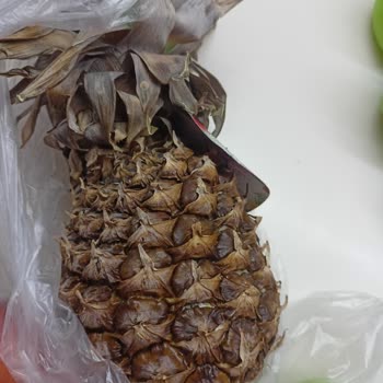 A101 Kapıda Çürük Sinekli Gelen Ürünler