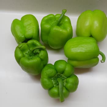 A101 Kapıda Çürük Sinekli Gelen Ürünler