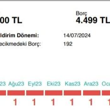 Findeks Geciken Borç Olmamasına Rağmen Gecikmede Gösteriyor!