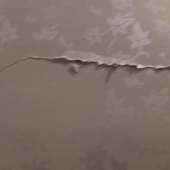 DASK (Doğal Afet Sigortaları Kurumu) Gerçekten Bizim İçin Mi?