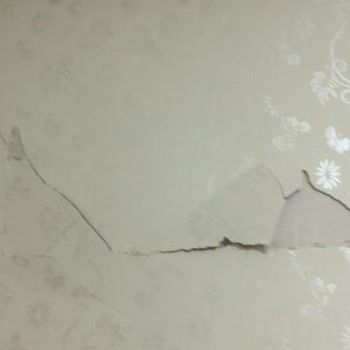 DASK (Doğal Afet Sigortaları Kurumu) Gerçekten Bizim İçin Mi?