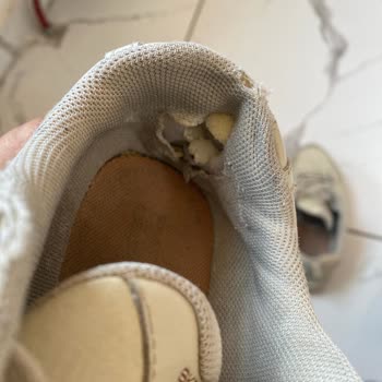 Boyner Sneakers Ayakkabı Yırtılması