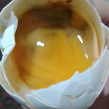 A101 Den Alınan Yumurtalar Küflü