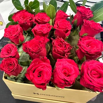 Çiçek Sepeti Solmuş Siyahlanmış Görsel İle Aynı Olmayan Ürün Gönderdi