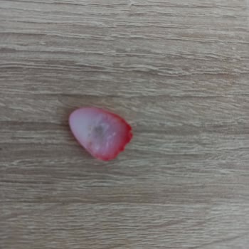 Nailist By Sinem Bisren Hijyenik Olmayan, Müşteri Deneyimine Saygısız Bir İşletme