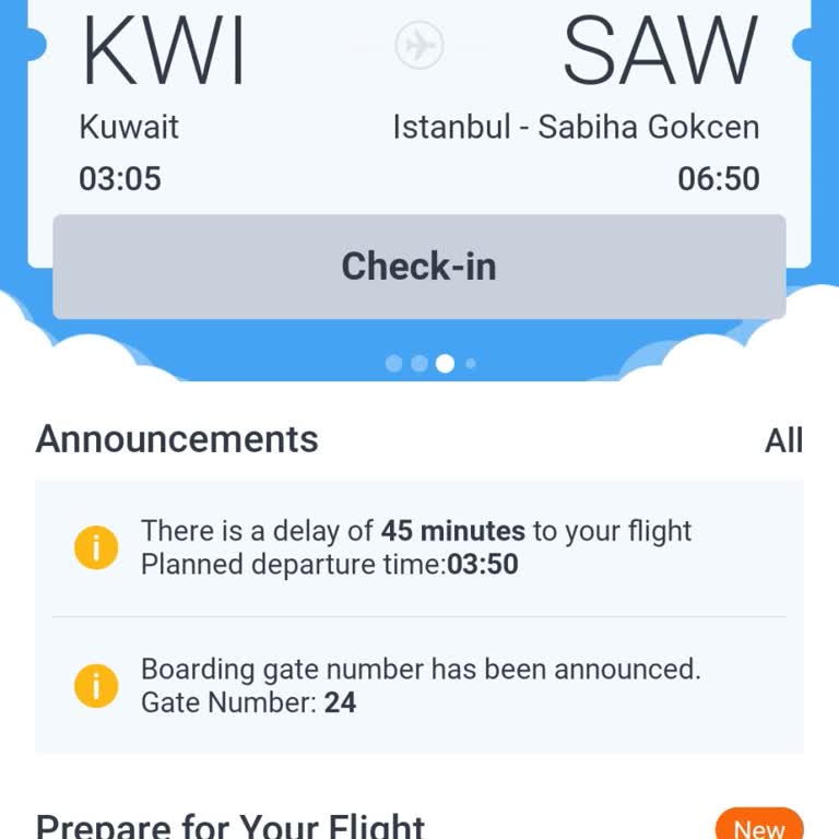 Pegasus Flight Delays Issue Unresolved