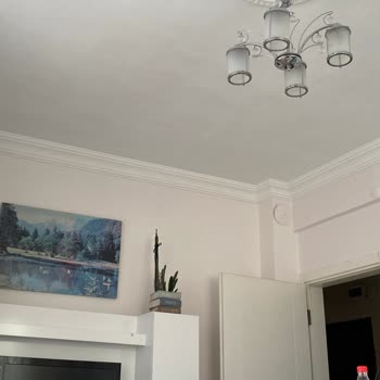 Polisan Değişen Boya Rengi