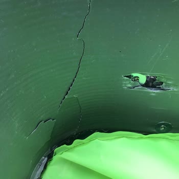 Türkiye Sigorta Habersiz Yenilenen Sigorta Poliçesi Ve İptal Sorunu