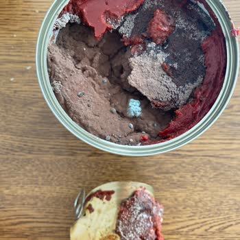 Tamek Domates Salçası Açılmadan Küflenmiş