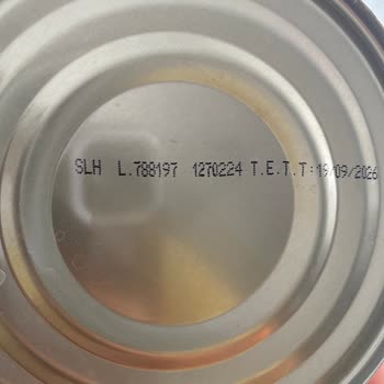 Tamek Domates Salçası Açılmadan Küflenmiş