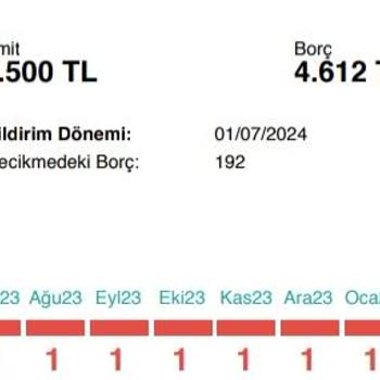 Enpara Haksız Gecikme Bildirimi