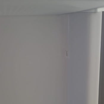 Vestel Servis Ve Ürün Kalitesi Konusunda Hayal Kırıklığı