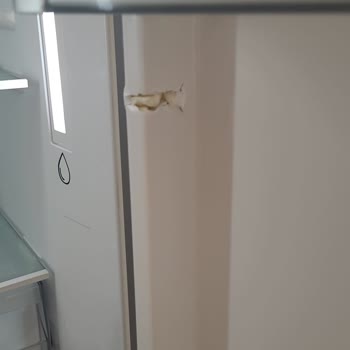 Vestel Servis Ve Ürün Kalitesi Konusunda Hayal Kırıklığı