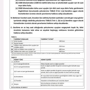 Sunexpress Rötar Tazminatını Ödemiyor