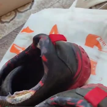 FLO Ayakkabı Şikayeti Ve Sağlam Olmaması