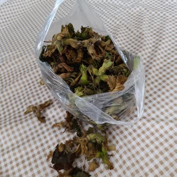 Getir Taze Fındık Siparişi Hüsranla Sonuçlandı