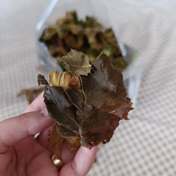 Getir Taze Fındık Siparişi Hüsranla Sonuçlandı
