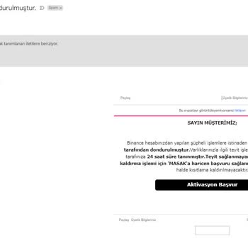 Sunexpress MASAK Varlıklarınız Dondurulmuştur Maili