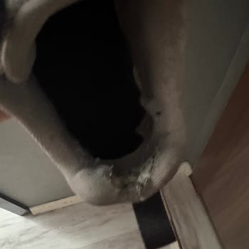 Skechers Kalitesizliği Ve 0 Müşteri Memnuniyeti