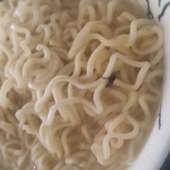 Nudo Üründen Böcek Çıkması Ve Sağlık Tehlikesi!