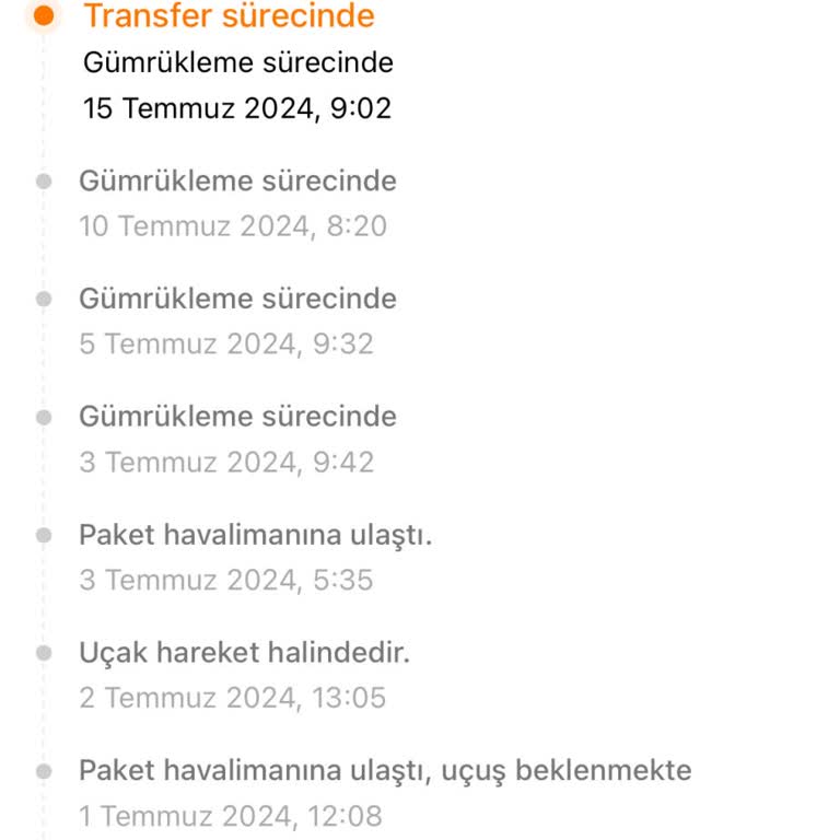 Temu Siparişlerim Hala Gümrükte