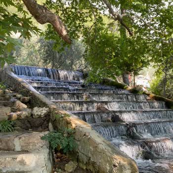 Yakapark İşletmesi Konaklama Sorunu!