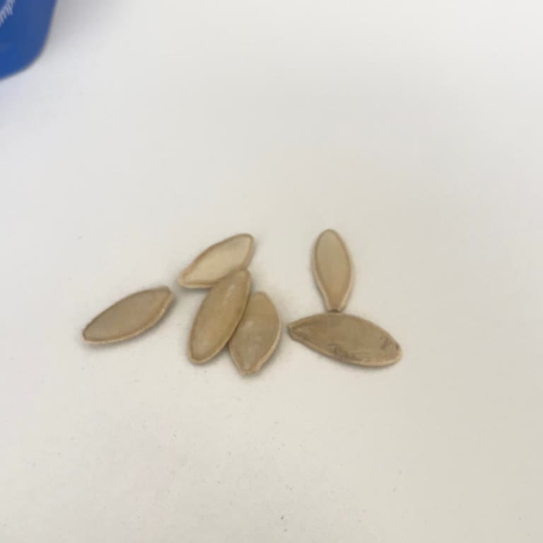 Tadım Gıda Sevdiğim Üründe Ani Tat Değişikliği Sorunu