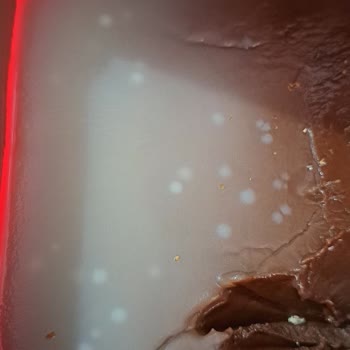 Seyidoğlu Gıda Seyidoğlu Bool Kakaolu Fındık Kreması