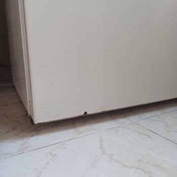 Vestel Bir Haftadır. Çürüme Ve Paslanma