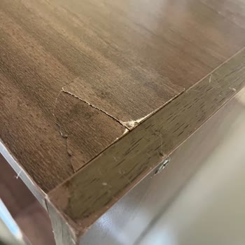 Protrans Evden Eve Nakliyat Ankara Protrans Evden Eve Pişmanlığı