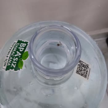 Getir Su İçinde Yabancı Madde