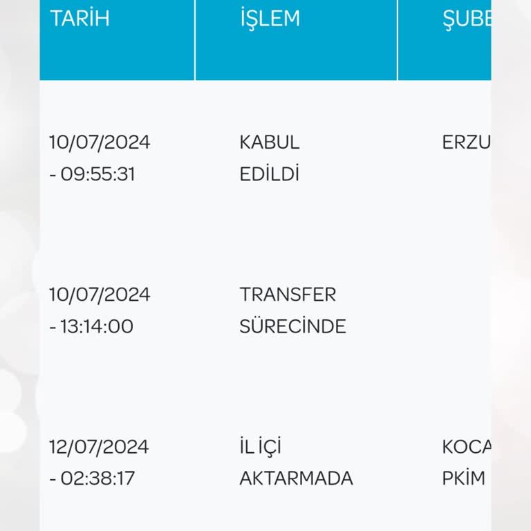 PTT Kargo Bir Haftadır Kargomu Dağıtıma Çıkarmadı!