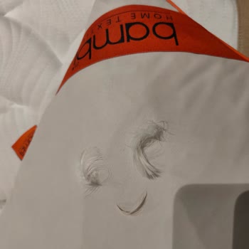 Bamboo Kaz Tüyü Yastık Sorunu