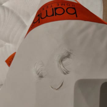 Bamboo Kaz Tüyü Yastık Sorunu