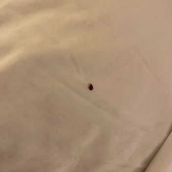 Gezinomi Balkanlar Turu Hakkında
