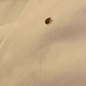 Gezinomi Balkanlar Turu Hakkında