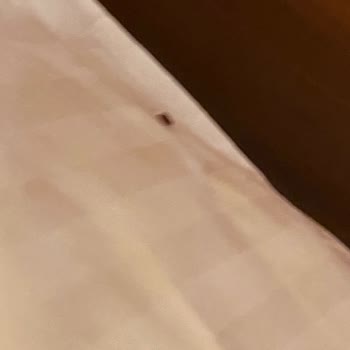 Gezinomi Balkanlar Turu Hakkında