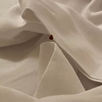 Gezinomi Balkanlar Turu Hakkında