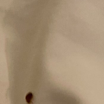 Gezinomi Balkanlar Turu Hakkında