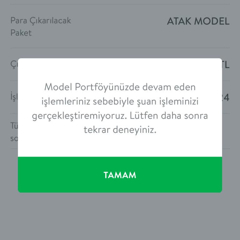 TEB Fon Danışmanı Hakkında